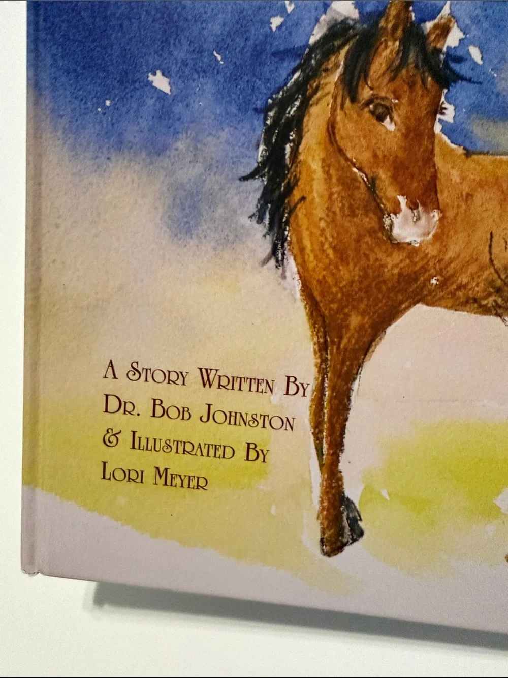Itchy Bump, a Kinda Wild Thing Hardcover Book by Dr Bob Johnston & Lori Meyer